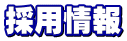 �̗p���